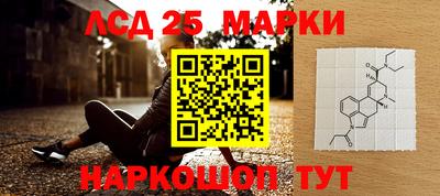 индика Железногорск