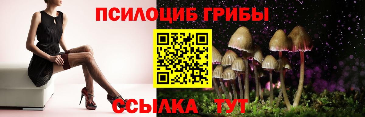 Галлюциногенные грибы Cubensis Наро-Фоминск